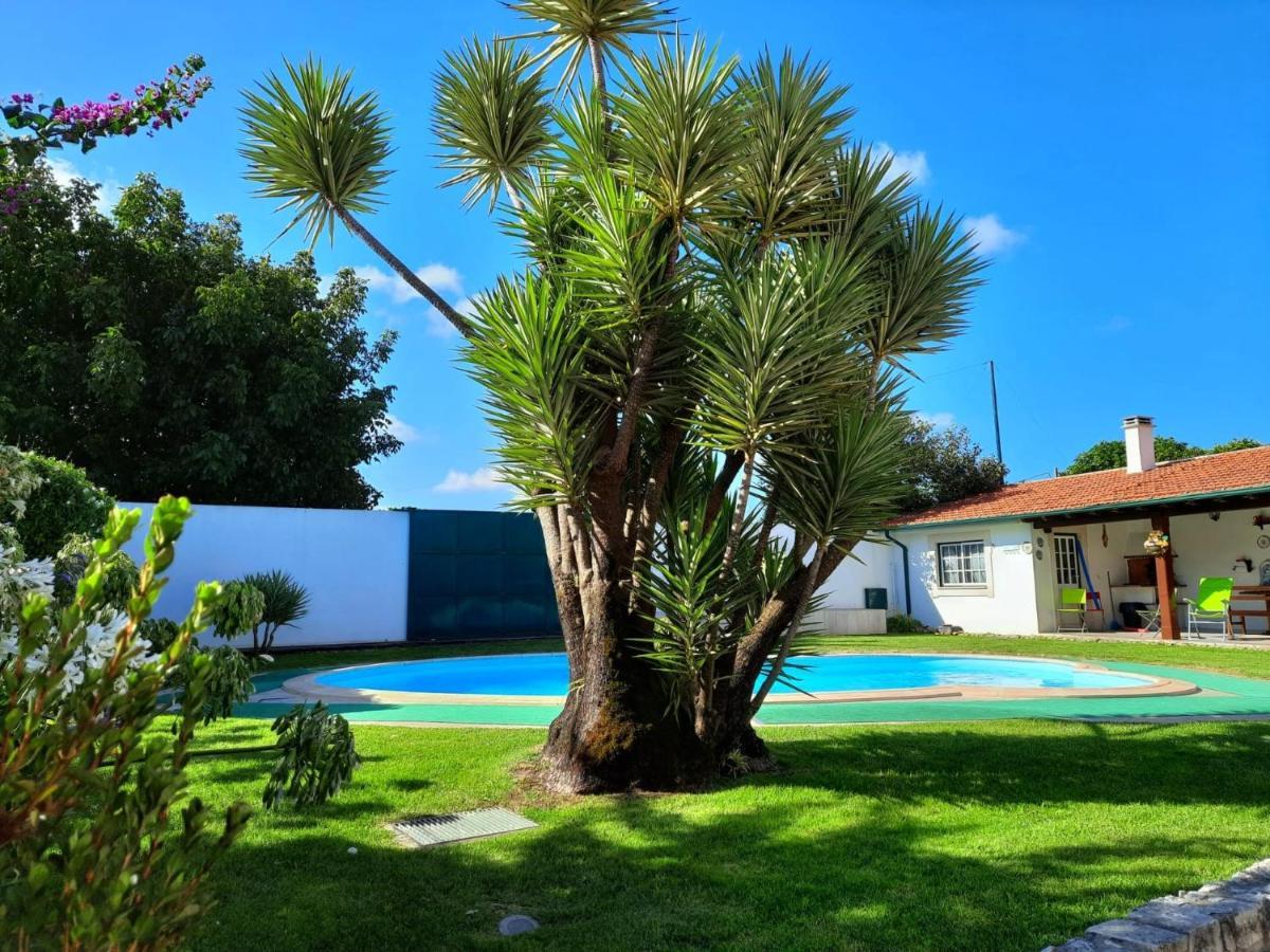 فيلا Qm - Quinta Da Morgadinha - Casa Em Quinta Rural Cabecos المظهر الخارجي الصورة