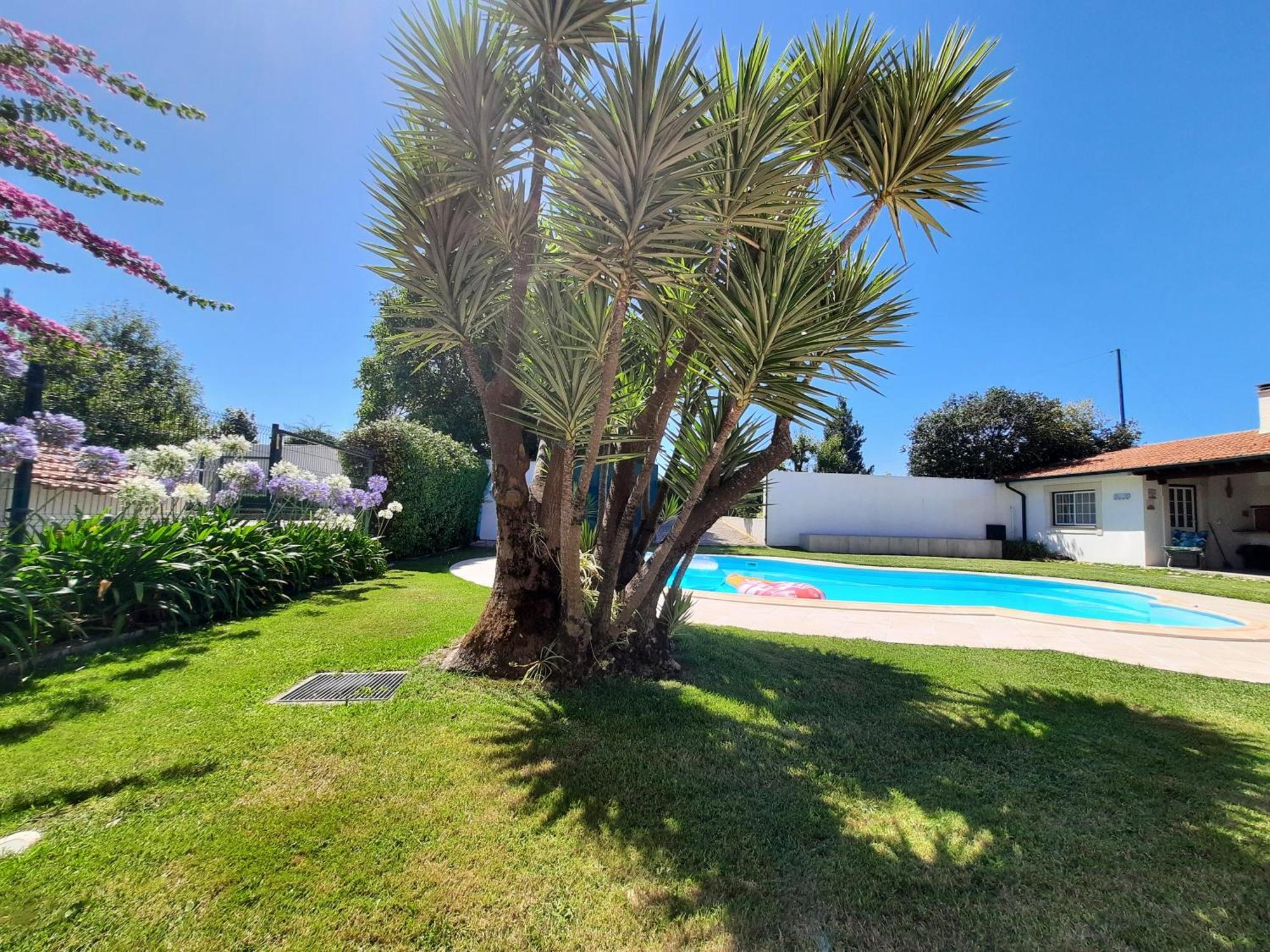 فيلا Qm - Quinta Da Morgadinha - Casa Em Quinta Rural Cabecos المظهر الخارجي الصورة